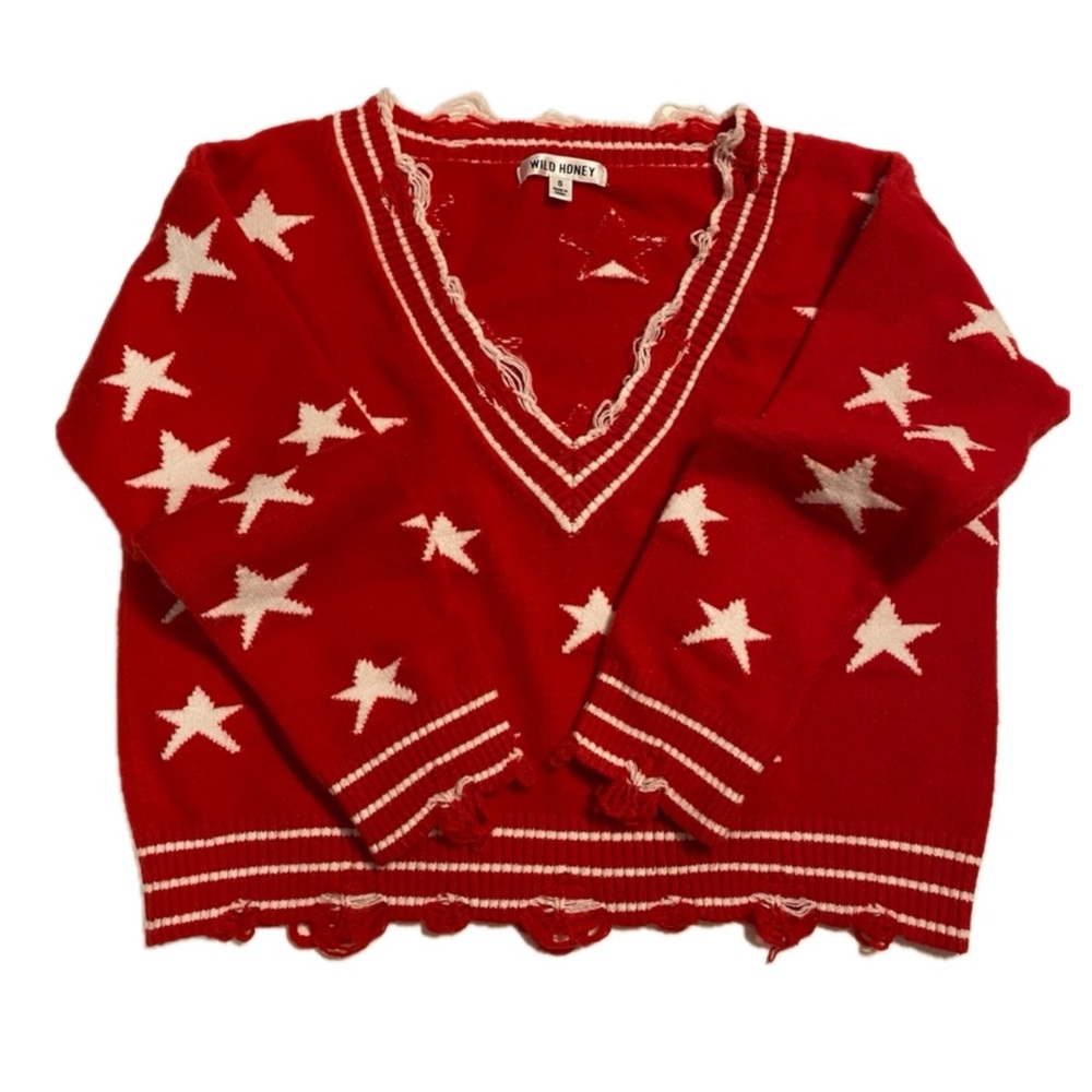 Wild Honey Distressed Cropped V-Neck Sweater